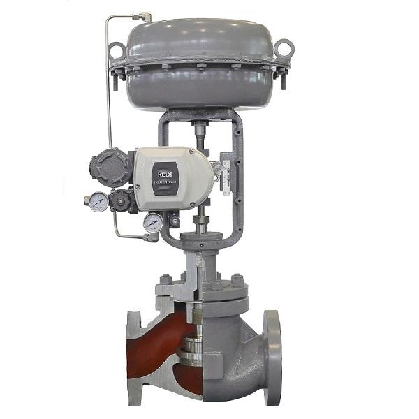 Top Guided Single Seated Globe Valve
